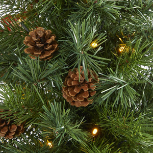 T1993 Holiday/Christmas/Christmas Trees