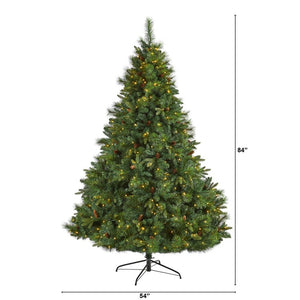 T1683 Holiday/Christmas/Christmas Trees