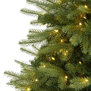 T1652 Holiday/Christmas/Christmas Trees