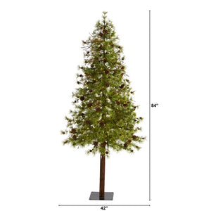 T1435 Holiday/Christmas/Christmas Trees