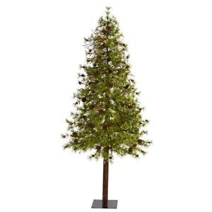T1435 Holiday/Christmas/Christmas Trees