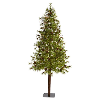 Product Image: T1435 Holiday/Christmas/Christmas Trees