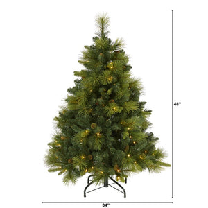 T1994 Holiday/Christmas/Christmas Trees