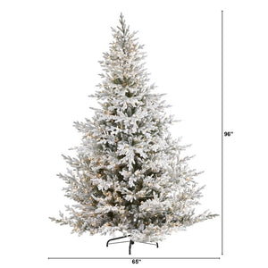 T1870 Holiday/Christmas/Christmas Trees