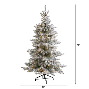 T1901 Holiday/Christmas/Christmas Trees