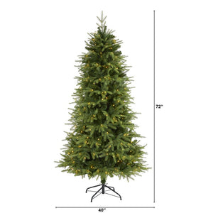 T1653 Holiday/Christmas/Christmas Trees