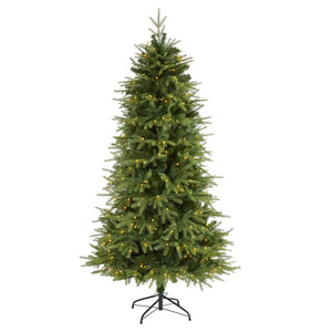 T1653 Holiday/Christmas/Christmas Trees