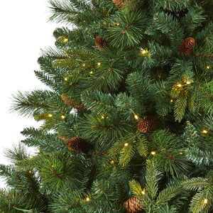 T1684 Holiday/Christmas/Christmas Trees