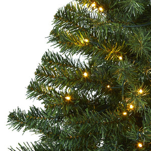 T1715 Holiday/Christmas/Christmas Trees
