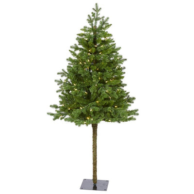 Product Image: T1467 Holiday/Christmas/Christmas Trees