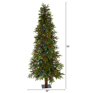 T1498 Holiday/Christmas/Christmas Trees