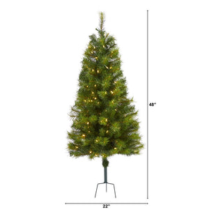 T1560 Holiday/Christmas/Christmas Trees