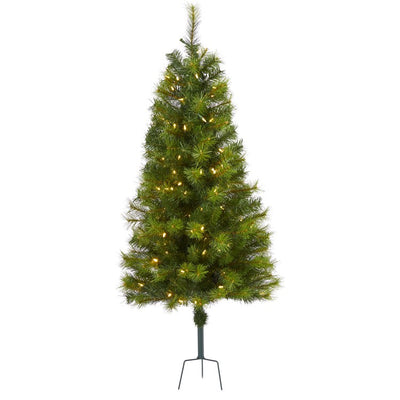 Product Image: T1560 Holiday/Christmas/Christmas Trees