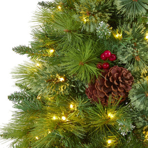 T1622 Holiday/Christmas/Christmas Trees