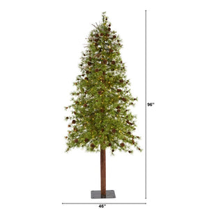 T1436 Holiday/Christmas/Christmas Trees