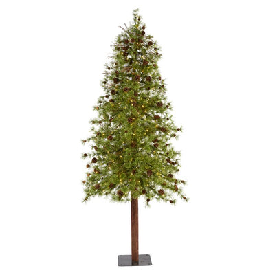 Product Image: T1436 Holiday/Christmas/Christmas Trees