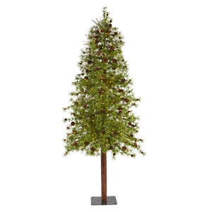 T1436 Holiday/Christmas/Christmas Trees
