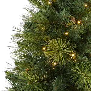T1995 Holiday/Christmas/Christmas Trees