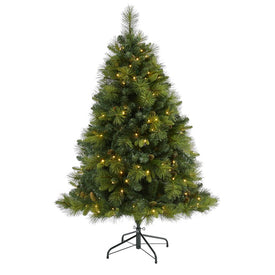 5' North Carolina Mixed Pine Artificial Christmas Tree with 200 Warm White LED Lights, 711 Bendable Branches and Pinecones