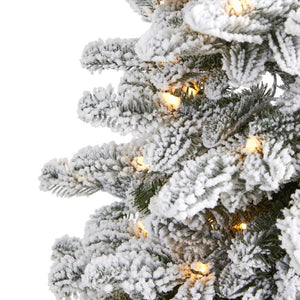 T1871 Holiday/Christmas/Christmas Trees