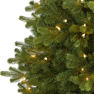 T1964 Holiday/Christmas/Christmas Trees