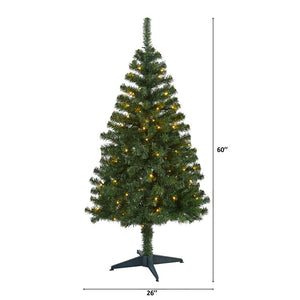 T1716 Holiday/Christmas/Christmas Trees