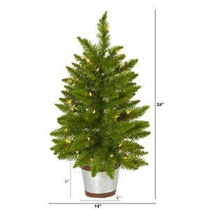T1561 Holiday/Christmas/Christmas Trees