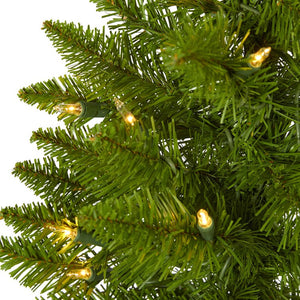 T1561 Holiday/Christmas/Christmas Trees