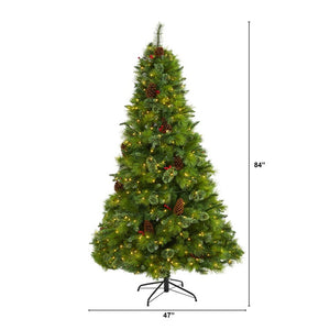 T1623 Holiday/Christmas/Christmas Trees