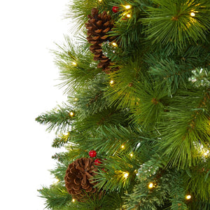T1623 Holiday/Christmas/Christmas Trees
