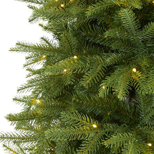 T1654 Holiday/Christmas/Christmas Trees