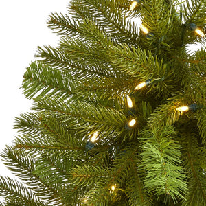 T1437 Holiday/Christmas/Christmas Trees