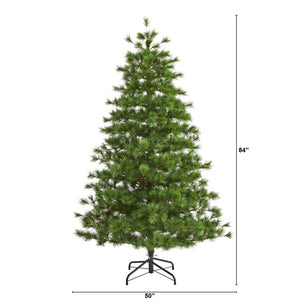 T1934 Holiday/Christmas/Christmas Trees