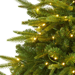 T1686 Holiday/Christmas/Christmas Trees