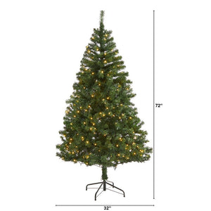 T1717 Holiday/Christmas/Christmas Trees