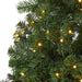 T1717 Holiday/Christmas/Christmas Trees