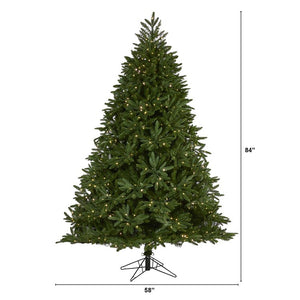 T1500 Holiday/Christmas/Christmas Trees
