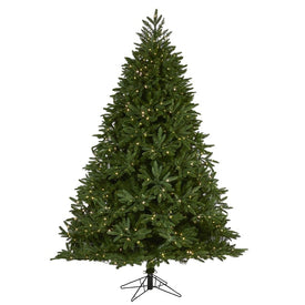7' Oregon Spruce Artificial Christmas Tree with 850 Warm White (Multifunction Microdot LED Lights with Instant Connect Technology and 1796 Bendable Branches