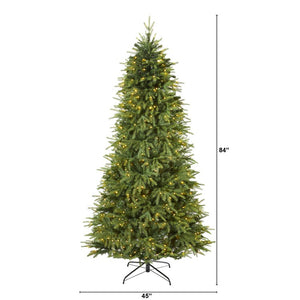 T1655 Holiday/Christmas/Christmas Trees