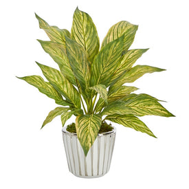 14" Musa Leaf Artificial Plant in White Planter with Silver Trimming