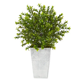 19" Boxwood Artificial Plant in Embossed White Planter (Indoor/Outdoor