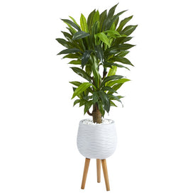 46" Corn Stalk Dracaena Artificial Plant in White Planter with Stand (Real Touch