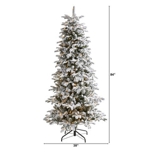 T1873 Holiday/Christmas/Christmas Trees