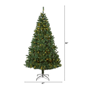 T1718 Holiday/Christmas/Christmas Trees