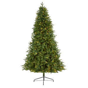 T1780 Holiday/Christmas/Christmas Trees