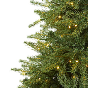 T1656 Holiday/Christmas/Christmas Trees
