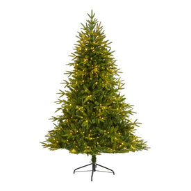6' Colorado Mountain Fir Natural Look Artificial Christmas Tree with 350 Clear LED Lights and 1704 Bendable Branches