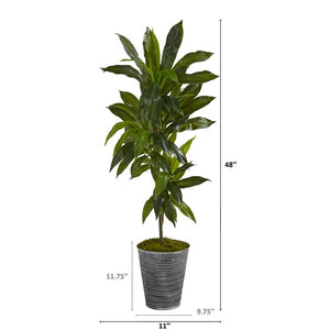 P1325 Decor/Faux Florals/Plants & Trees