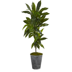 4' Dracaena Artificial Plant in Decorative Tin Planter (Real Touch