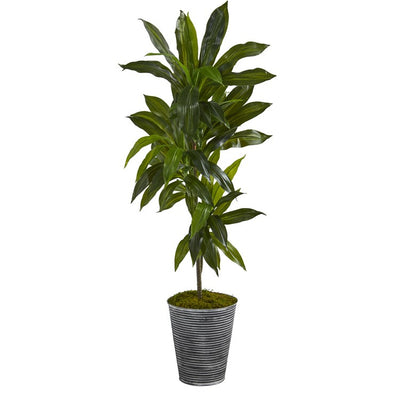 Product Image: P1325 Decor/Faux Florals/Plants & Trees